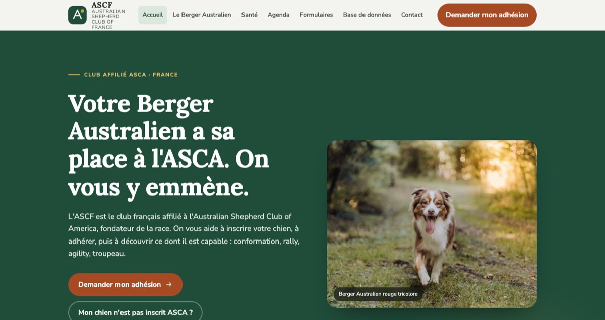 Page d’accueil du site ASCF — Berger Australien